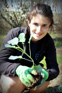 Jen getting ready to plant some broccoli. 