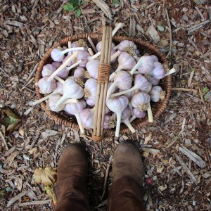 2016-10-12-21-12-45-2